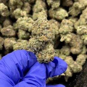 Alabama Boof - Sativa Strain - 31.80% THCa - HighHippy.com - Free Overnight Shipoping