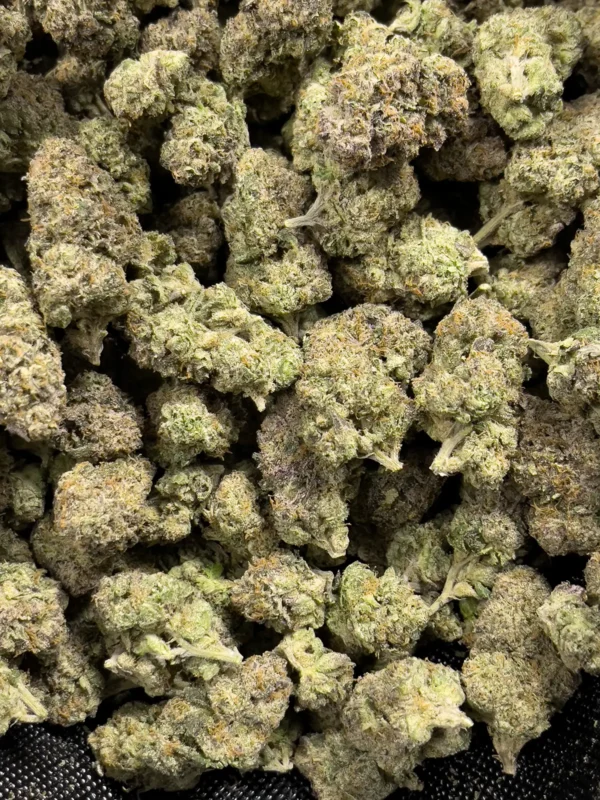 Alabama Boof - Sativa Strain - 31.80% THCa - HighHippy.com - Free Overnight Shipoping