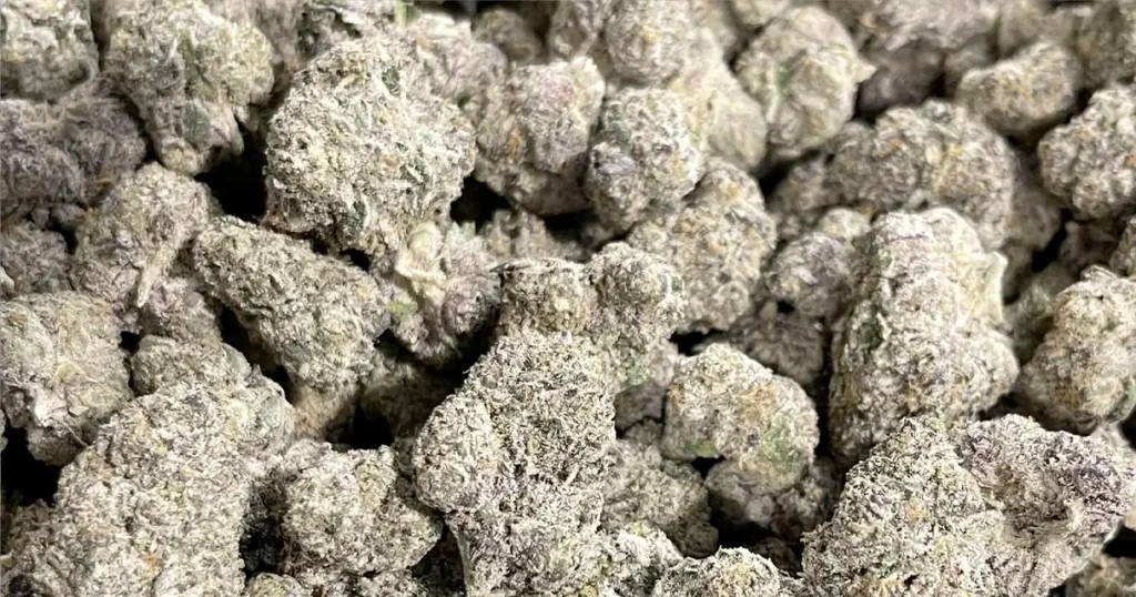 Best THCa Flower for Relaxation: The Truth Revealed! @ HighHippy.com Blogs