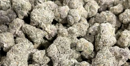 Best THCa Flower for Relaxation: The Truth Revealed! @ HighHippy.com Blogs