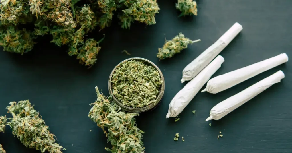 Does THCa Get You High @ HighHippy.com Blogs - Best THCa Flower Online, Cali-grown - FREE OVERNIGHT SHIPPING!