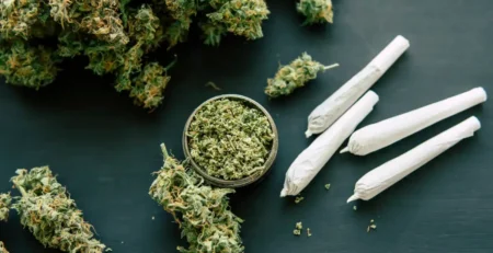 Does THCa Get You High @ HighHippy.com Blogs - Best THCa Flower Online, Cali-grown - FREE OVERNIGHT SHIPPING!