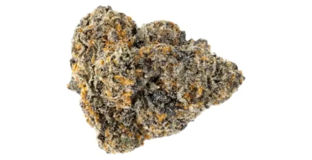 Gelato THCa Review & Effects - Truth Told @ HighHippy.com | Best THCa $100 OZ - Free Overnight Shipping