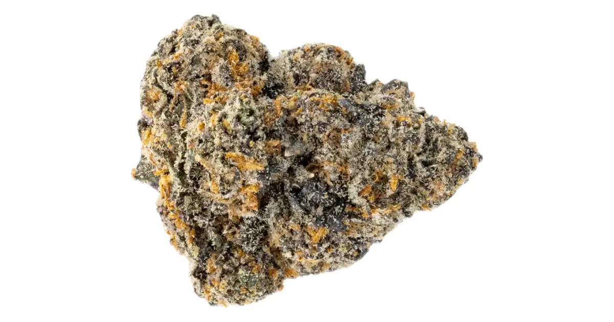 Gelato THCa Review & Effects - Truth Told @ HighHippy.com | Best THCa $100 OZ - Free Overnight Shipping