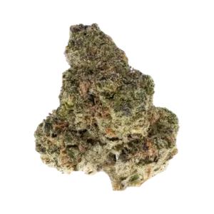 Governmint Oasis - Hybrid Strain - THCa Smalls - 31.25% - Exotic Indoor @ HighHippy.com - THCa Flower Power - Free Overnight Deli ery!