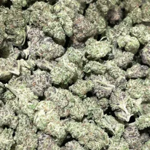 Governmint Oasis - Hybrid Strain - THCa Smalls - 31.25% - Exotic Indoor @ HighHippy.com - THCa Flower Power - Free Overnight Deli ery!