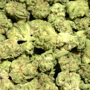 Hawaiian Haze Sativa Strain