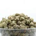 Mafia Funeral THCa Smalls Indica