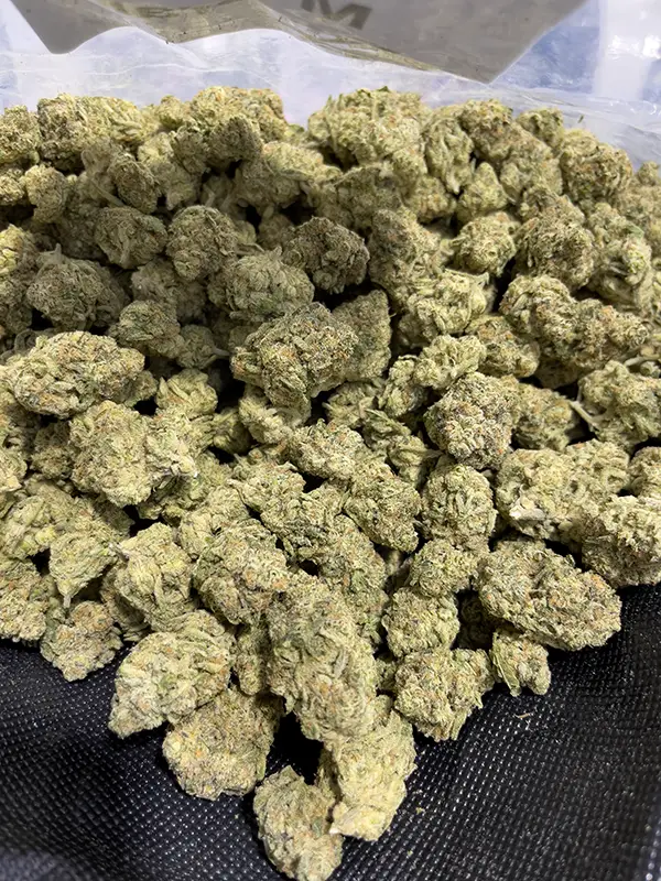 Mafia Funeral - Indica Strain - THCa Smalls - 31.06% - Exotic @ HighHippy.com