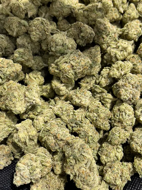 Mafia Funeral - Indica Strain - THCa Flower - 31.06% - Exotic @ HighHippy.com