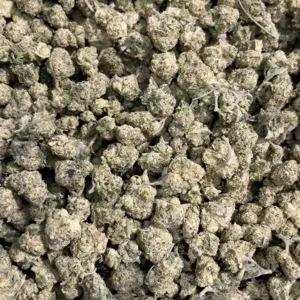 Mafia Funeral - Indica Strain - THCa Smalls - 31.06% - Exotic @ HighHippy.com