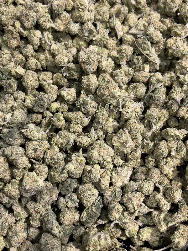 Mafia Funeral - Indica Strain - THCa Smalls - 31.06% - Exotic @ HighHippy.com