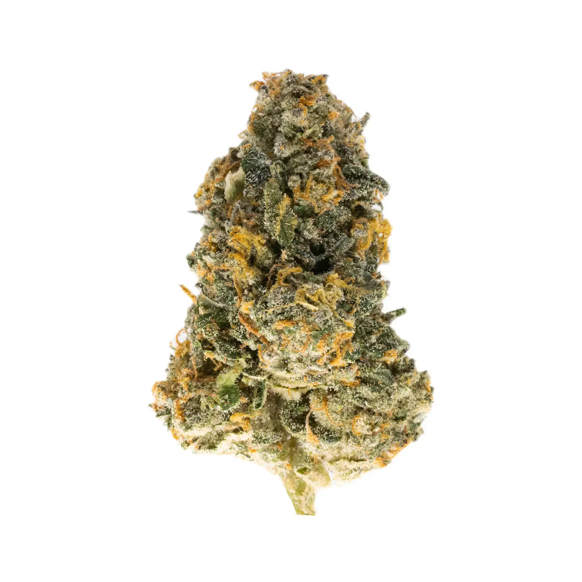 Memory Loss THCa Flower HighHippy