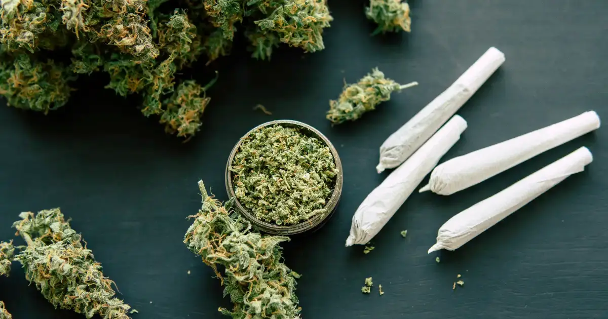 Smalls vs Top-Shelf THCa Flower: Truth Told @ HighHippy.com | $100 OZ - FREE OVERNIGHT DELIVERY!