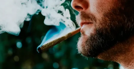 What Is THCa (Simple Explanation) @ HighHippy.com - The Pros at Best THCa Online, Cali-grown, FREE OVERNIGHT SHIPPING!