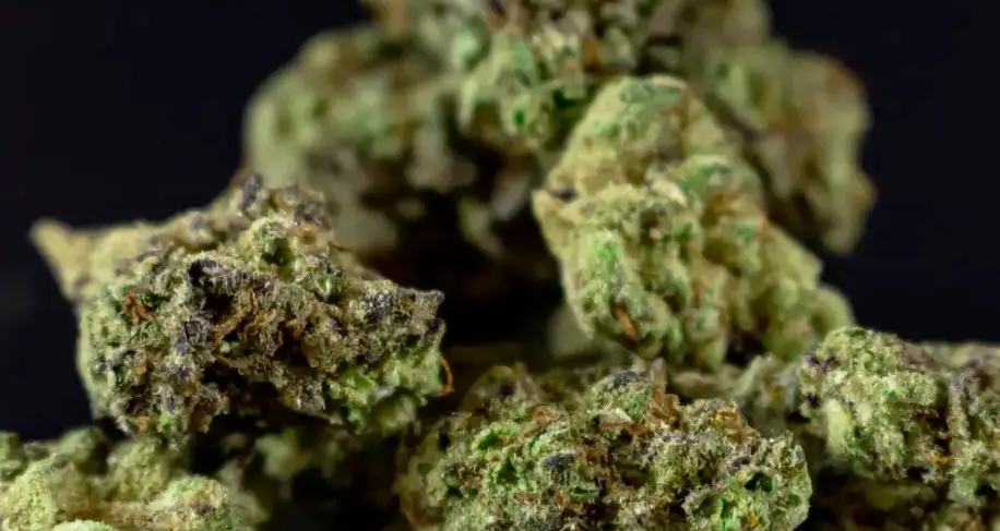 Best THCa Strains Guide @ HighHippy.com Blogs