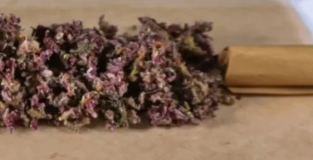 Strongest THCa Strains Available Right Now - The Top 5! @ HighHippy.com