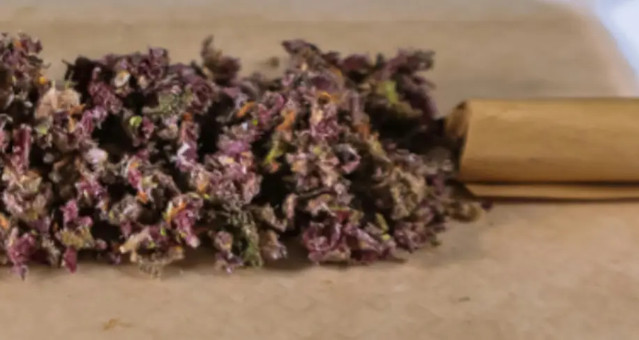 Strongest THCa Strains Available Right Now - The Top 5! @ HighHippy.com