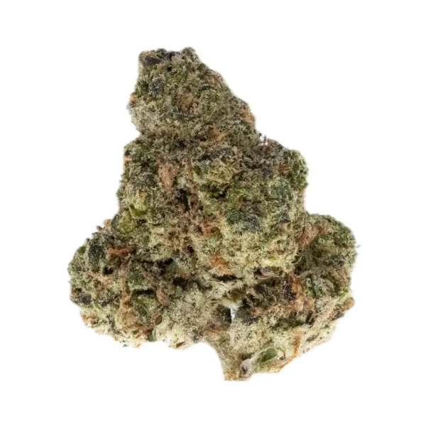 Governmint Oasis THCa Flower Hybrid Governmint Oasis THCa Flower Hybrid