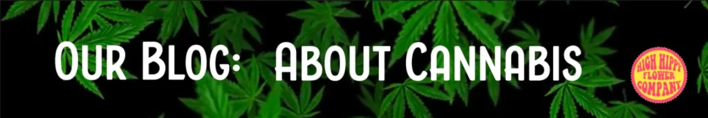 HighHippy.com Blog for the Best THCa Flower Talk Online