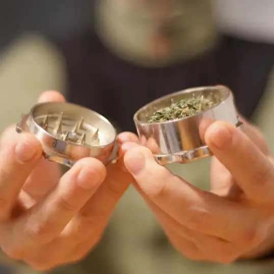 Best THCa Flower for Beginners @ HighHippy.com Blog - Best Weed Online