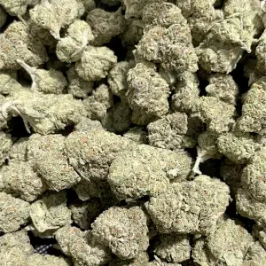 HighHippy.com Private Reserve THCa Flower is the Top Tier of incredible Cali-grown strains in indica, sativa and hybrid varieties!