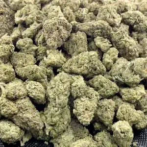 HighHippy.com Private Reserve THCa Flower is the Top Tier of incredible Cali-grown strains in indica, sativa and hybrid varieties!