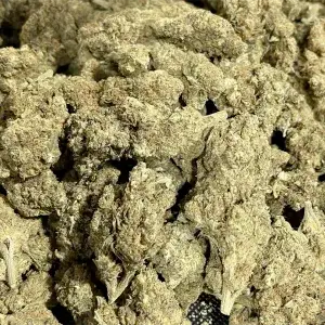 HighHippy.com Private Reserve THCa Flower is the Top Tier of incredible Cali-grown strains in indica, sativa and hybrid varieties!