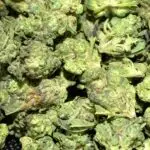 Log Cabin Smalls THCa Flower Sativa