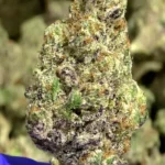 Purple Stardawg THCa Flower