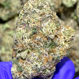 Wet Dream TCHa Flower