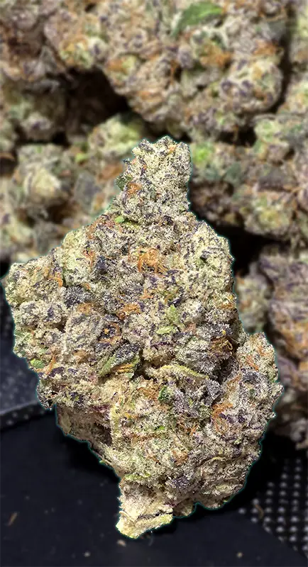 Wynn - Indica Strain - Wholesale THCa - 33.25% - Private Reserve @ HighHippy.com - FREE OVERNIGHT SHIPPING!