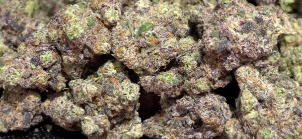 Wynn - Indica Strain - Wholesale THCa - 33.25% - Private Reserve @ HighHippy.com - FREE OVERNIGHT SHIPPING!