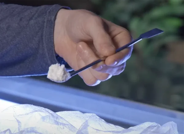 Dippin Dots Snow Caps - Sativa Strain - 70.63% THCa @ HighHippy.com - Fast Shipping!