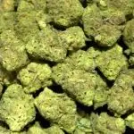 Prohibition Glue Smalls THCa Flower Hybrid