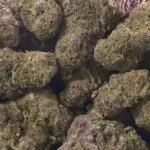 Rose THCa Flower Indica