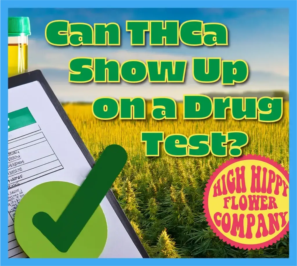 Can THCa Show Up on a Drug Test? BLOG @ HighHippy.com - primo grow masters w/ FAST SHIPPING!