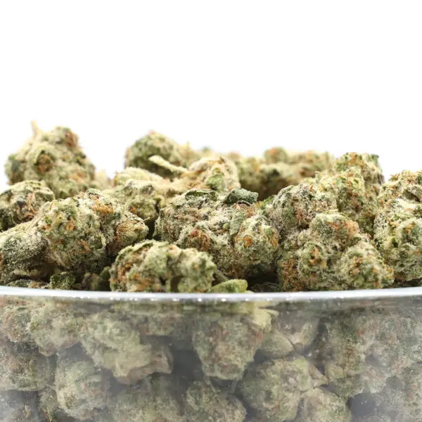 Purple Stardawg - THCa Smalls - Sativa Strain - High THCa Flower - 35.70% @ HighHippy.com - Cali-Grown, Shipped Fast! Purple Stardawg - THCa Smalls - Sativa Strain - High THCa Flower - 35.70% @ HighHippy.com - Cali-Grown, Shipped Fast!