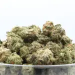 Trop Cherry Smalls THCa Flower Sativa