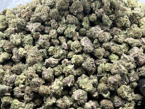 Blueberry Fuego Smalls THCa Flower Sativa Blueberry Fuego Smalls THCa Flower Sativa