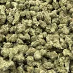 Elon Smalls THCa Flower Hybrid