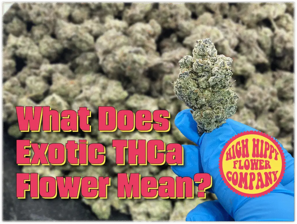 What Does Exotic THCa Flower Mean? BLOG